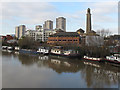 Brentford Towers from the river