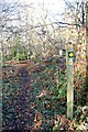 Footpath Junction Waymark