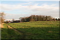 Footpath to Kenwick Road