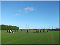 Thurrock Rugby Club