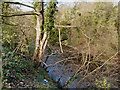 River Goyt