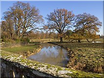 SP2556 : River Dene in Charlecote Park by David P Howard