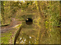 SJ9490 : Peak Forest Canal, Hyde Bank Tunnel by David Dixon