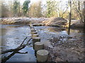 Stepping stones over the Ridingmill Burn