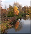 Autumn along the Grand Union Canal