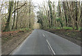 Belmore Lane within High Wood