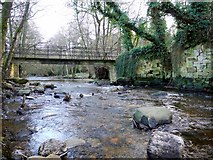 NY9357 : Footbridge & site of former dam on Devil's Water by Andrew Curtis