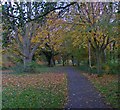 Path and trees along the River Soar