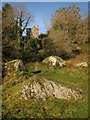 Boulders in Town Orchard, Lustleigh