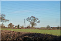 Fields east of Dyrham Lane