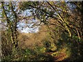 Footpath to Lower Combe