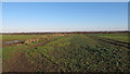 Arable land near Badnocks Farm