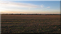 Arable land near Steeple Wick