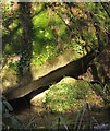 Rocks by the stream, Lower Combe