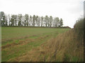 SU5955 : Farmland on the Hampshire Downs by ad acta