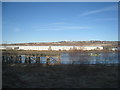 View across the Tyne near the confluence with the River Derwent