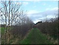 Footpath to Great Mollands Farm