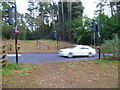 The Pegasus crossing on the A287 at Nutcombe (1)