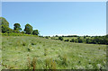 Grass land south of Abermeurig, Ceredigion