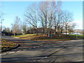 Trees at a junction in John Baker Close, Llantarnam Park