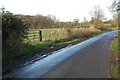 Unnamed lane to Horton Green