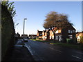 Milne Road, Bilton Grange Estate, Hull