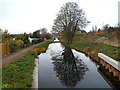 Looking towards Stonehouse Bridge along the Stroudwater Canal,Stonehouse