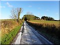 H4975 : Craighill Road, Crosh by Kenneth  Allen