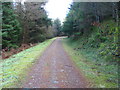 ST2495 : Forest track above Cwm Gwyddon by John Light