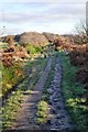 Path on the former Wath Racecourse