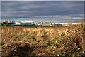 View over scrubland to Dearne Valley College