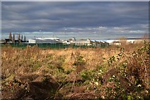 SE4500 : View over scrubland to Dearne Valley College by Neil Theasby
