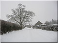 SE6889 : Approaching Gillamoor in the snow by T  Eyre