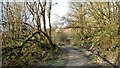 Path around Tittesworth Reservoir