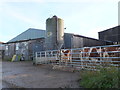 ST6860 : Farmyard near Priston by Nigel Mykura