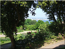 SX4552 : The Earl's Garden, east of Mount Edgcumbe House  by Robin Stott