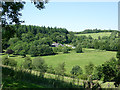 Derry Ormond Park near Betws Bledrws, Ceredigion