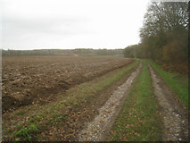 SU6055 : Farm track to Rookery Farm by Mr Ignavy