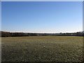 TQ5205 : Pound Field/Goose Meadow by Simon Carey