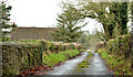 Horse Park, Kilcorig near Lisburn