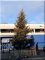 Christmas Tree, Brighton Marina