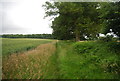 Bridleway along the field edge