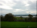 The Exe estuary