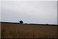 Ploughed field by Nacton Rd