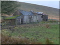 Ruined Field Farm below Cefn Coch