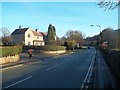 Alfreton Road, Matlock Green