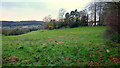 Pasture above Dursley