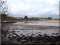 Hayle Estuary Nature Reserve