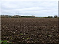 Ploughed Field on Flax Hill