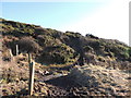 Stairhaven Coastal Path